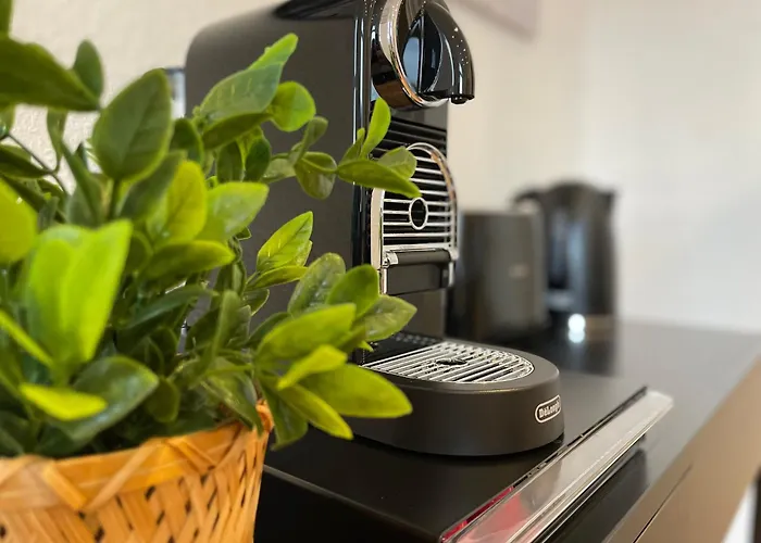 Stadtoase * ברלין